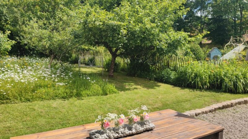 Table extérieure en bois décorée de fleurs, donnant sur un jardin verdoyant avec arbres et prairies fleurie