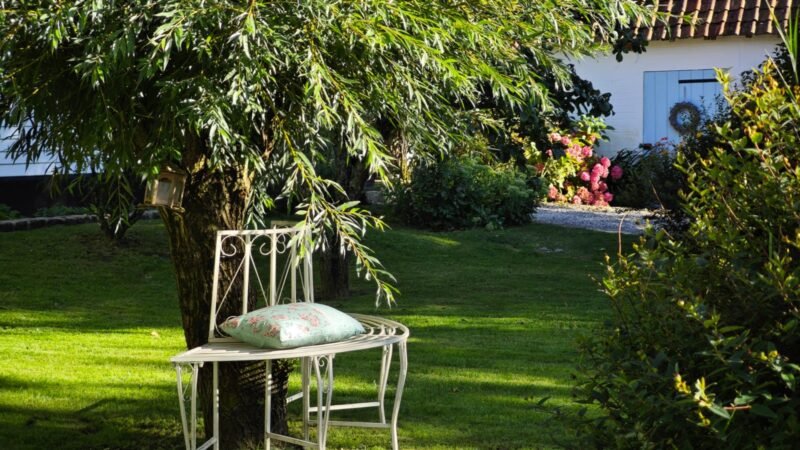 Chaise romantique en métal blanc installée dans un jardin verdoyant et ombragé
