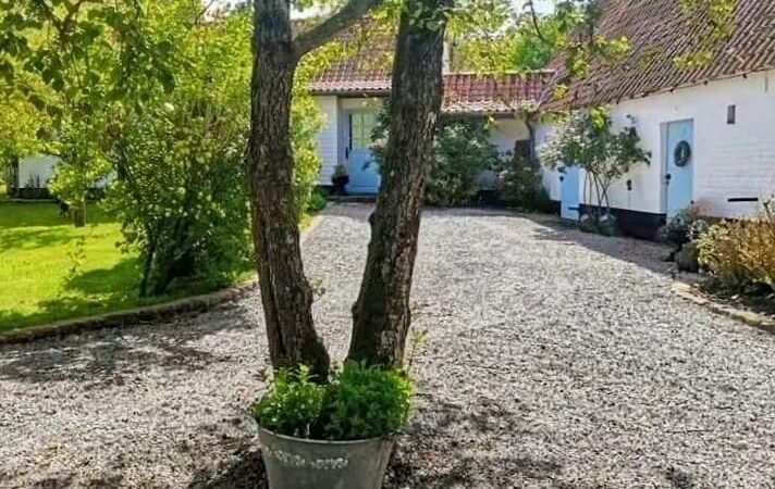 Deux arbres plantés avec un grand pot au centre d'une allée en gravier bordée d'une maison blanche