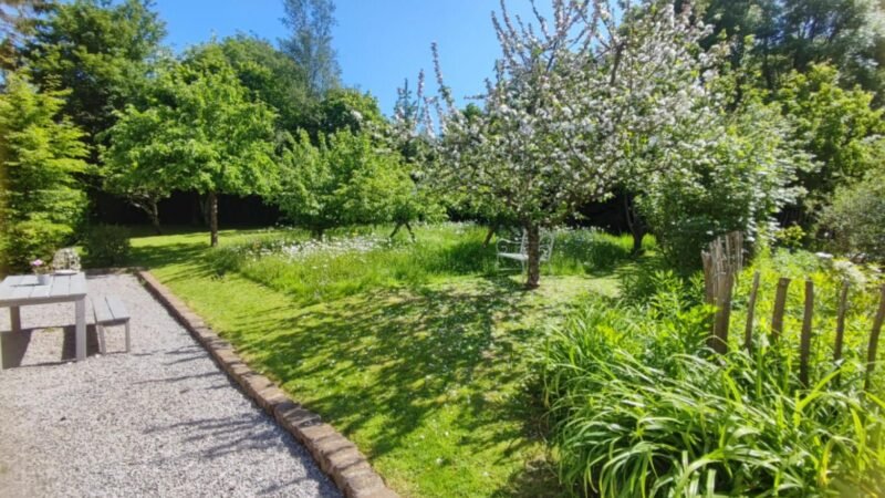 Jardin paysager avec arbres en fleurs, allée en gravier et coin repas extérieur sous le soleil