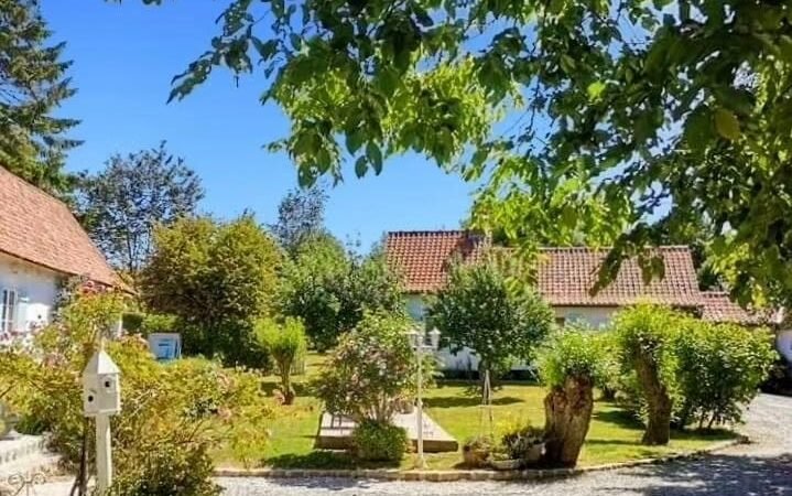 Jardin structuré avec arbres, buissons et chemin en gravier sous un ciel bleu éclatant